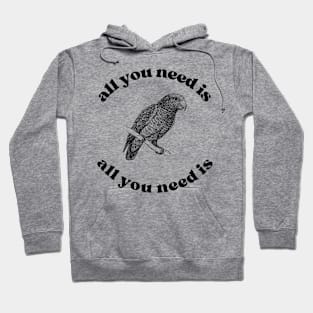 All you need is an African Grey Parrot Hoodie